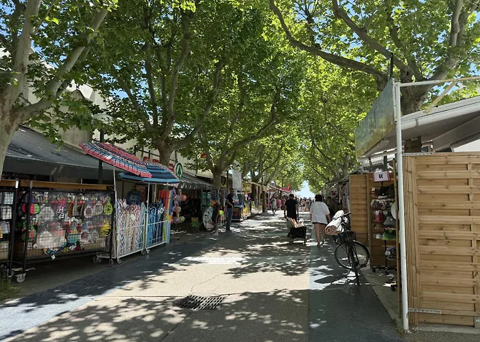 Sol-y-days Belles Plages, Front De Avec Piscine アパート ラ・グランド・モット